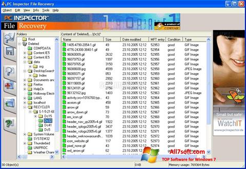 צילום מסך PC Inspector File Recovery Windows 7