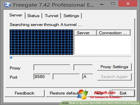 צילום מסך Freegate Windows 7